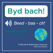 Byd bach.png