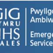 Emergency Ambulance Services Committee