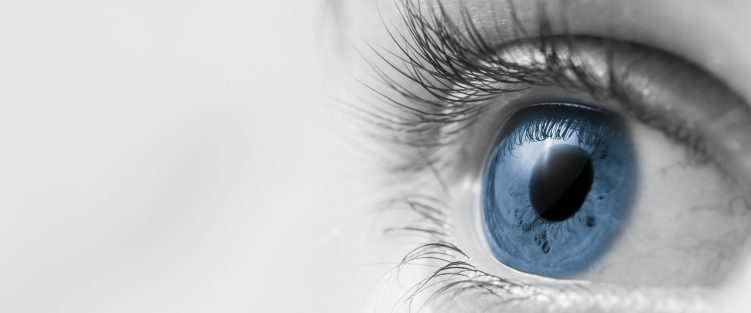 Optimizing Vision Health: Holistic Approaches to Eye Care