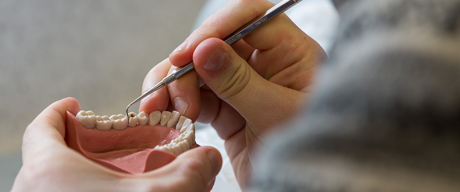 Lower dental arch