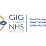 Betsi Cadwaladr University Health Board Image - HEIW