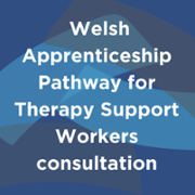 Welsh Apprenticeship Pathway for TSW