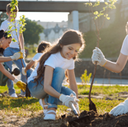 Early years planting