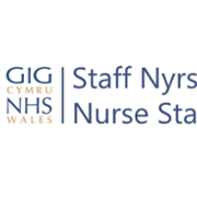 All Wales nurse staffing programme