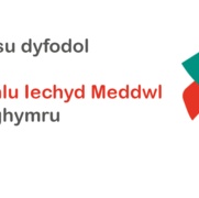 Gweithlu Iechyd Meddwl