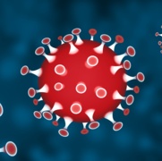 Covid - 19 virus