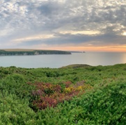 Prydferthwch anhygoel y wlad, o'r môr i'r awyr - llwybr arfordir Sir Benfro