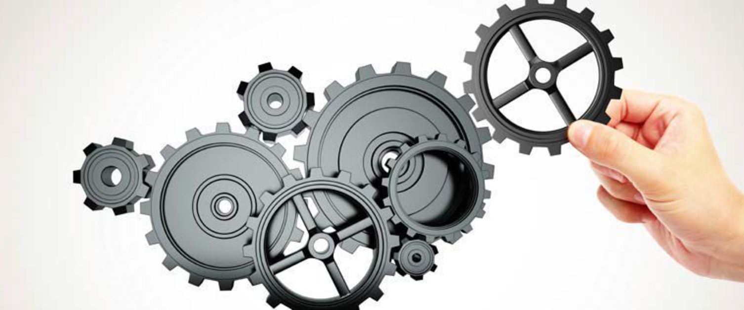 Hand holding cogs