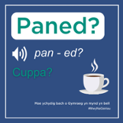 Paned-Cymraeg.png