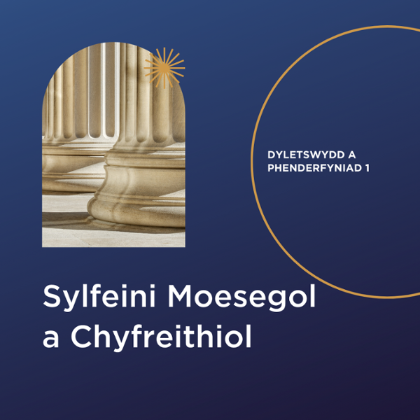 Sylfeini Moesegol a Chyfreithiol. Dyletswydd A Phenderfyniad 1