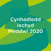 Mental health conference grahpic - Cymraeg.png