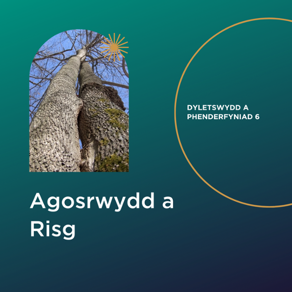 Agosrwydd a Risg. Dyletswydd A Phenderfyniad 6