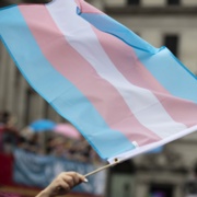 Trans flag