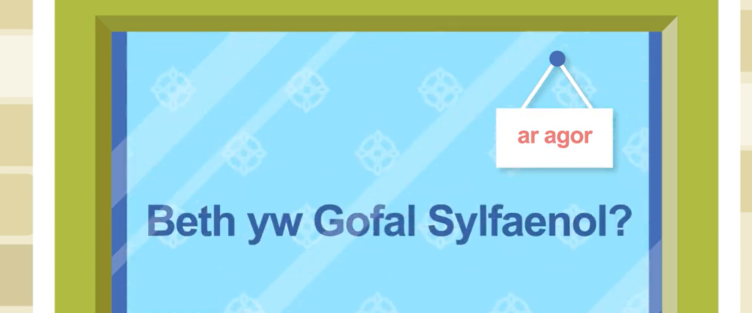 Beth yw Gofal Sylfaenol?
