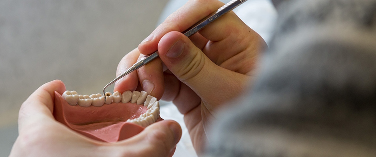 Dentist using a dental prosthesis