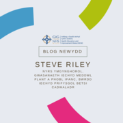 Steve Riley - blog post (no pic)