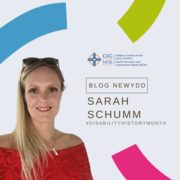 Sarah Schuum blog image