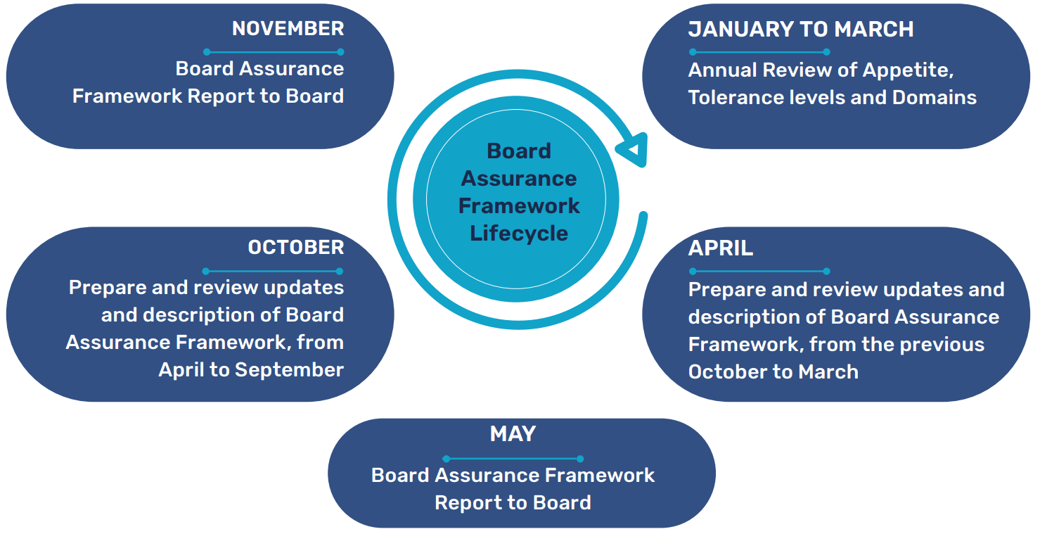 Board Assurance Framework annual reporting cycle diagram