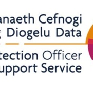 DPO Support Service Logo.JPG