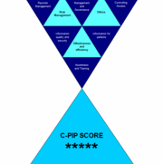 C-PIP image.gif
