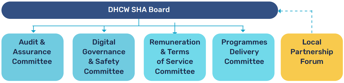 DHCW Board and Committee Structure