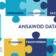 DataQuality-dhcw-jigsaw-cym.png