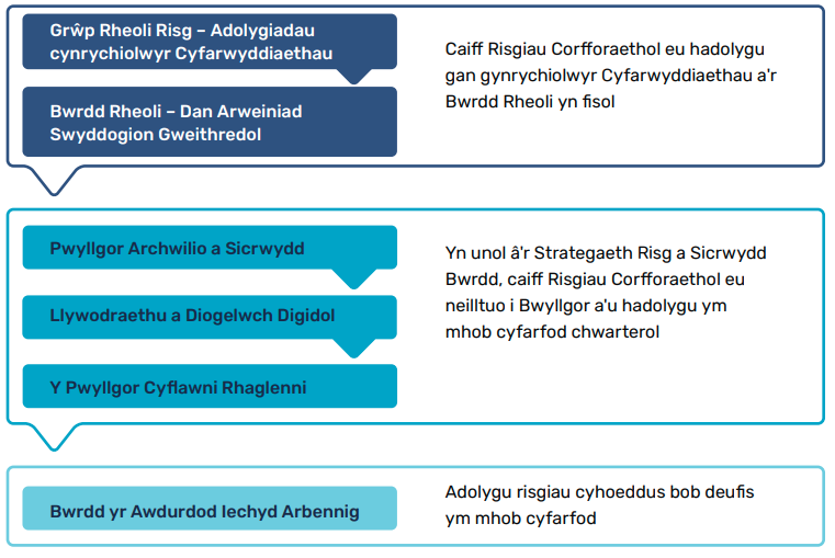 Grŵp Rheoli Risg – Adolygiadau