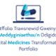 Portffolio Trawsnewid Gweinyddu Meddyginiaethau