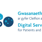 Digital Services for Patients and Public - Large