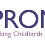 What is PROMPT Logo9