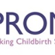 Logo for What is PROMPT page