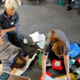 Photo of 3&nbsp;Community Midwives in training doing scenario checks on eachother&nbsp;