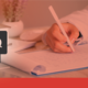 Sorting and Submission FAQs
