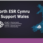 ESR Support Hub Wales