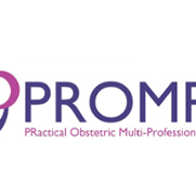 What is PROMPT logo 2025