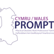 PROMPT WALES logo New 2