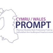 PROMPT WALES logo New 3