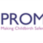 What is PROMPT Logo 2025