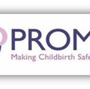 What is PROMPT Logo7