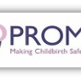 PROMPT Logo with the wording Making Childbirth Safer, Together