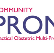 Community Prompt Wales Logo