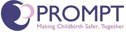 Logo for front page of What is PROMPT logo