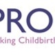Logo for front page of What is PROMPT logo
