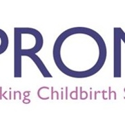 What is PROMPT Logo8
