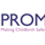 What is PROMPT Logo 2