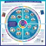 Raes_delivering_Outcomes_SPPC square ENG.jpg