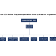 Dental SOG - governance and structure for reporting HAv3.0.png