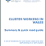 Cluster Handbook image1.png