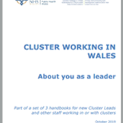 Cluster Handbook leader.png