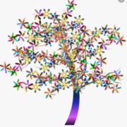 Physio tree.JPG